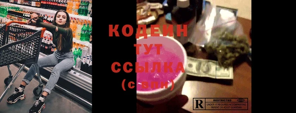шишки Ладушкин