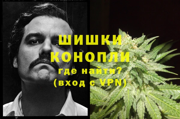 стафф Куйбышев
