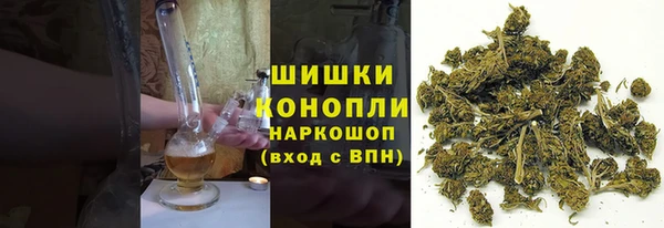 шишки Ладушкин