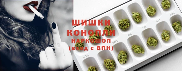 крисы Лабытнанги