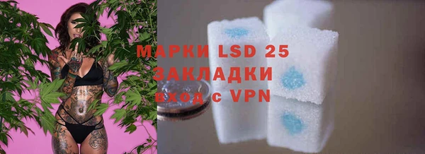 крисы Лабытнанги