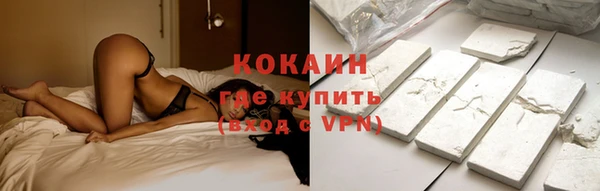 шишки Ладушкин